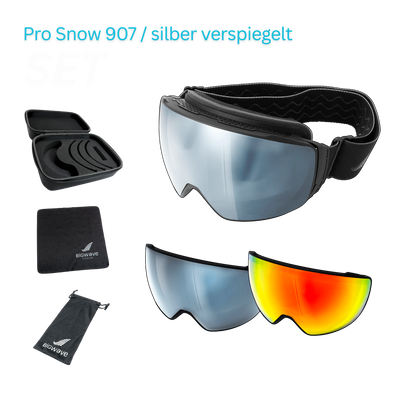 Pr Snow 907 / silver mirrored